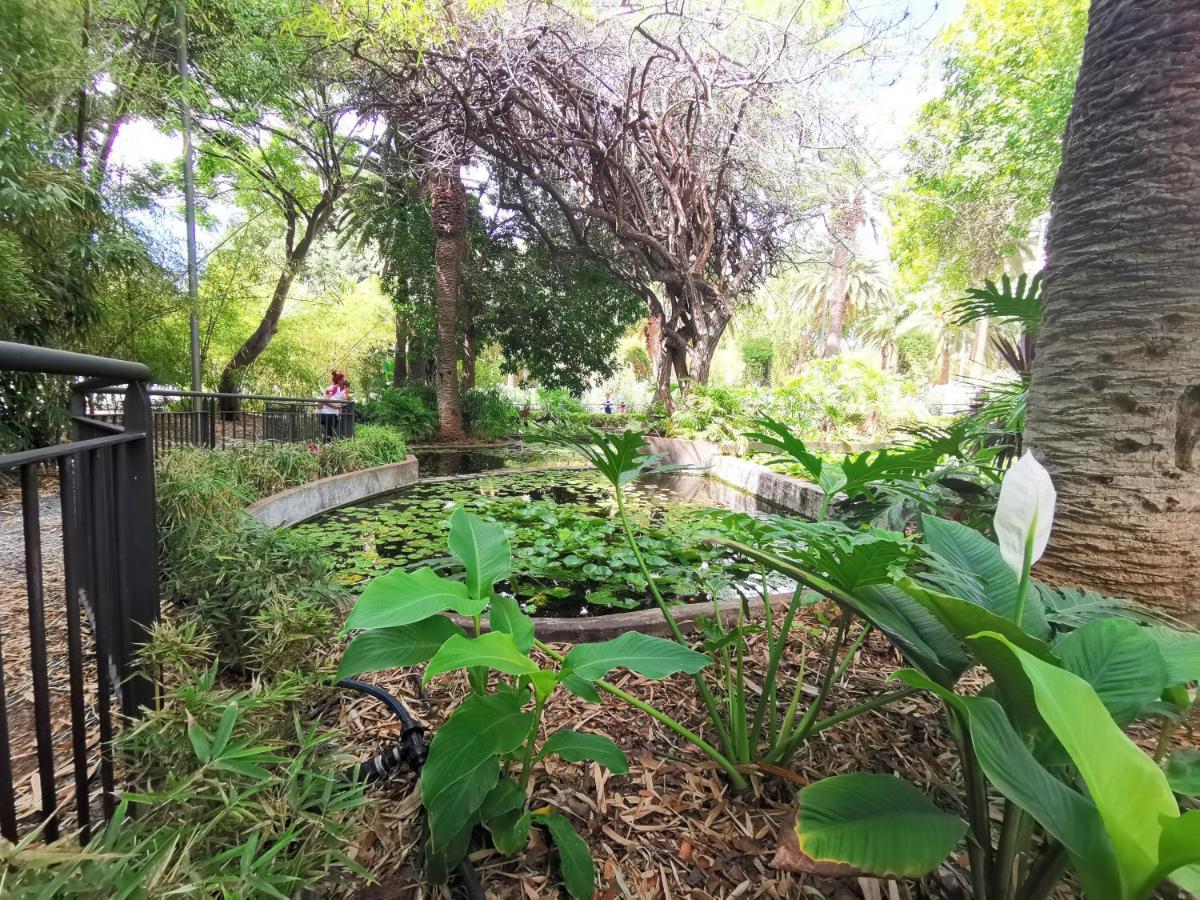 Home2Book Bright Center Apartment Santa Cruz Εξωτερικό φωτογραφία